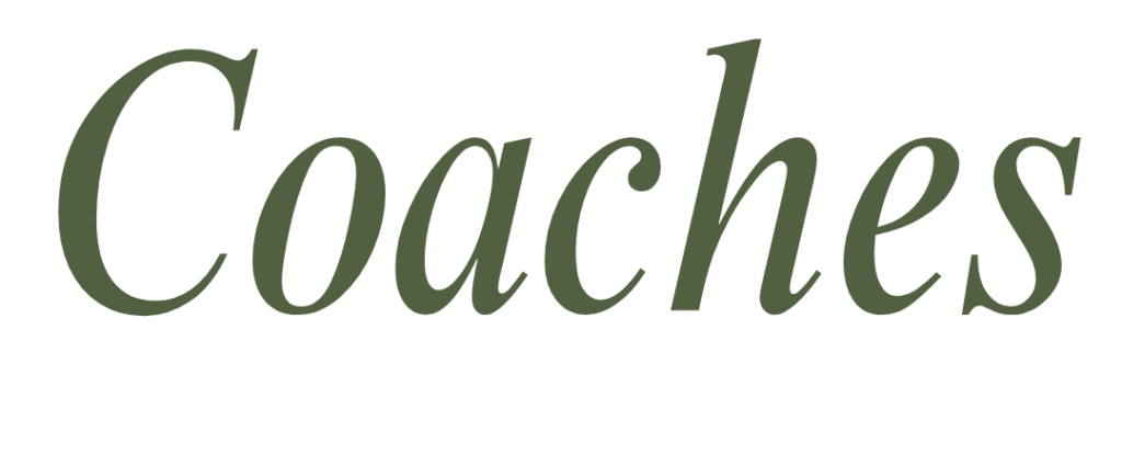 Wellness Morning - Mindful Movement & Bazaar - Preregistro